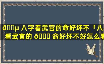 🌵 八字看武官的命好坏不「八字看武官的 🐎 命好坏不好怎么看」